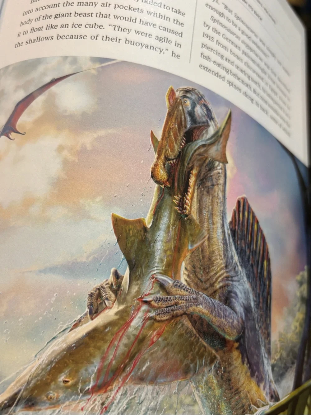 National Geographic Dinosaurs Magazine - Yellow Cover new